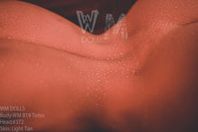Load image into Gallery viewer, Pamella: WM Sex Doll Torso B19 Head 372# Premium Sex Doll
