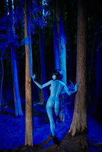 画像をギャラリービューアに読み込む, Tifa(158cm/5ft2): Normal Breasts Young Girl Adult Doll Toy in Avatar Blue
